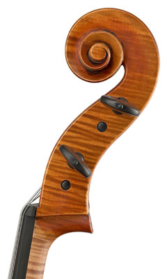 Wilfer Violin